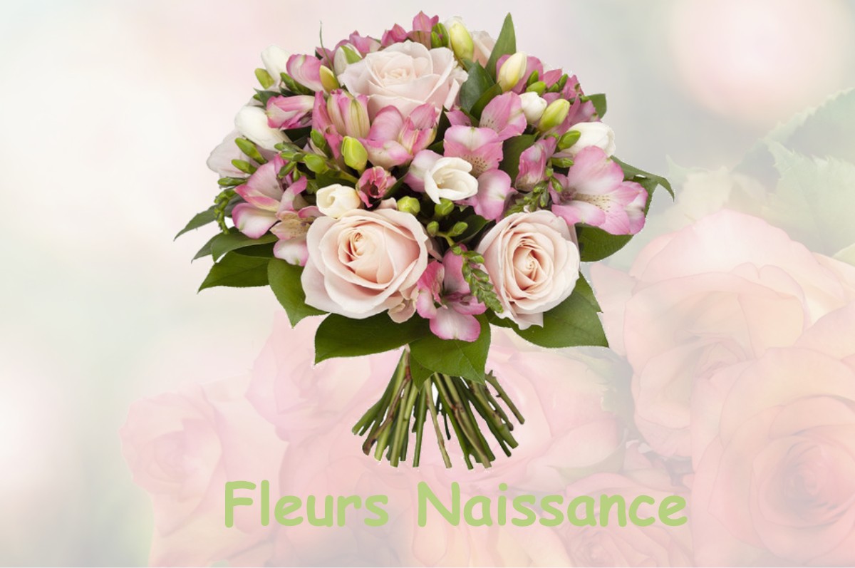 fleurs naissance RESSONS-L-ABBAYE